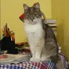 Отзыв от Екатерина Горохова